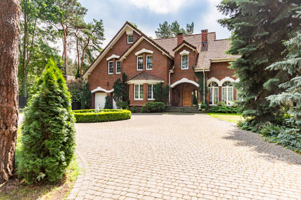 Best Local Driveway Pavers  in Alton, TX