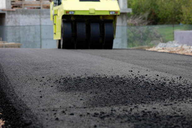Best Concrete Paver Driveway  in Alton, TX
