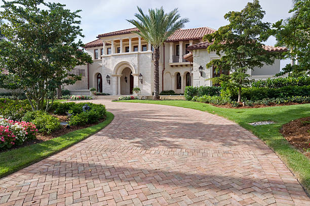 Best Professional Driveway Pavers  in Alton, TX
